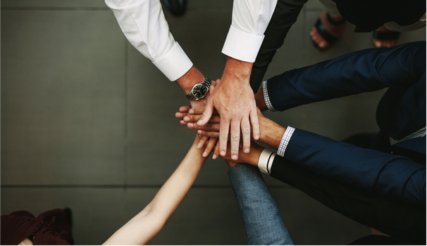 Success Story: Zego - Crisis Management Capability