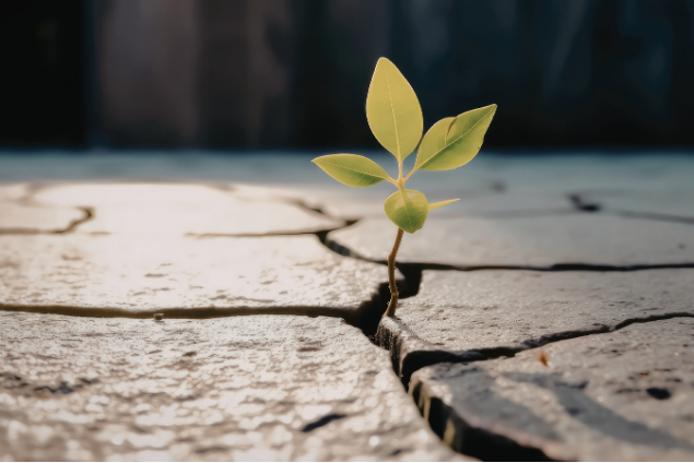 Success Story: Zego - Operational Resilience Uplift